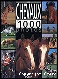 Les Chevaux en 1000 photos